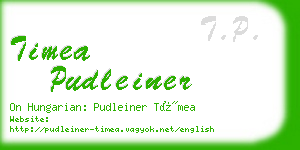 timea pudleiner business card